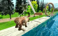 Wild Bear Water Stunts Screen Shot 7