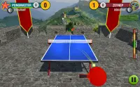 World Table Tennis Champs Screen Shot 8