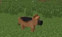 Mod Dogs for MCPE Screen Shot 1