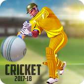 Cricket Champion League - New Cricket Game