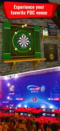 PDC Darts Match - The Official PDC Darts Game Screen Shot 8