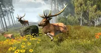 Wild Deer: Bogenschießen Jagdspiele 2019 Screen Shot 1