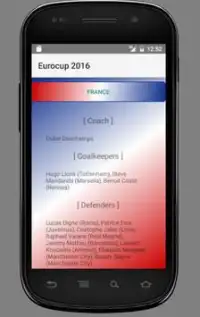 Eurocup 2016 Screen Shot 1