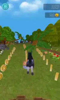 Little Running Pony Adventure Screen Shot 3