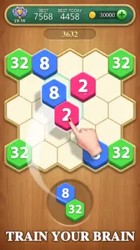 Hexa Block Puzzle - Merge! Screen Shot 0