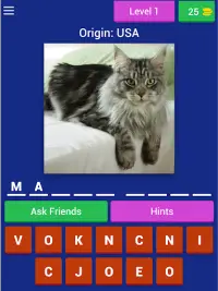 Cat Breed Quiz Game (Cat Game) Screen Shot 10