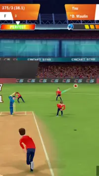 Cricket Star Pro Screen Shot 3