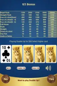 Bonus Poker (8/5) Screen Shot 14