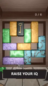 Unblock 3D Puzzle Screen Shot 0