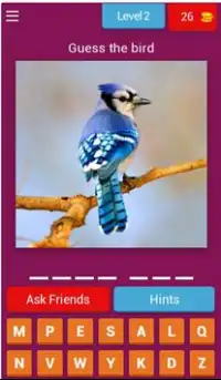 Birds Quiz - Learn All Birds! Screen Shot 2