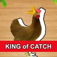 King of Catch - Chicken Catch Game Offline