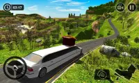 Mr Knowing Limo Driving Simulator 2018 Screen Shot 1