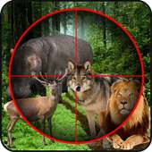 Wild Animal Hunting 3D