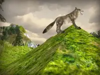 Angry Wolf 3D Simulator Screen Shot 8