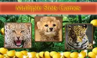 Angry Cheetah Slot Wild Pokies Screen Shot 0
