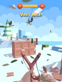 Sling Birds 3D Hunting Game Screen Shot 16