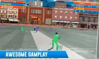 Real Street Cricket Cup 2017 Screen Shot 1