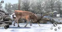 Deer Gun Hunting Games 2019 - стрелялки FPS Screen Shot 4