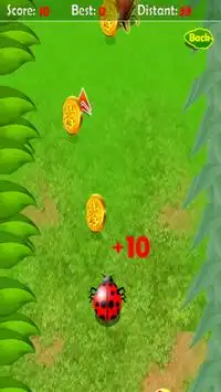 Beetle Race Screen Shot 0
