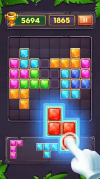 Block Puzzle - Funny Brain Free Game Screen Shot 4