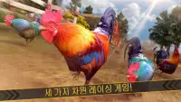 닭 싸움 수탉 Wild Rooster Run Screen Shot 3