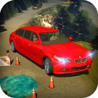 Limousine Taxi - City Limo Drive