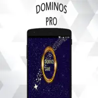 Dominos Pro Screen Shot 0