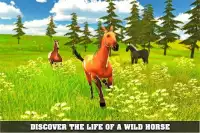 Furious Horse Survival Sim 🐎 Screen Shot 0