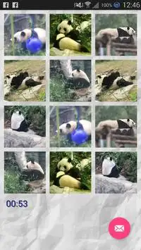 Panda - Memory Game Screen Shot 0