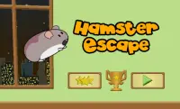 Hamster Escape Screen Shot 0