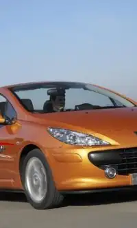 Jigsaw Puzzles Peugeot 307 Screen Shot 2