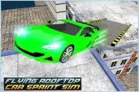 Flying Rooftop Car Sprint Sim Screen Shot 1