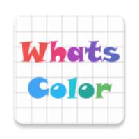 What's Color