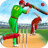 Gioco cricket della T10 League