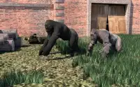 Apes War - Jungle Revenge Screen Shot 1