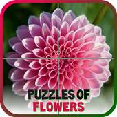 Puzzles of Flowers Free