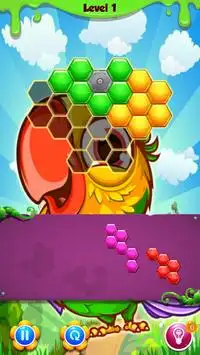 Parrot Craze Puzzle Screen Shot 2