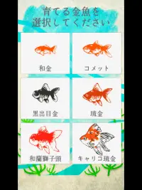 癒しの金魚育成ゲーム Screen Shot 6