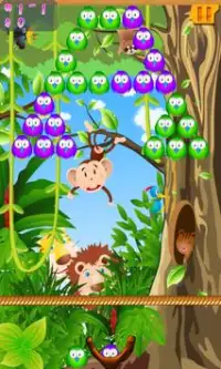 Bubble Birds (Bubble Shooter) Screen Shot 4