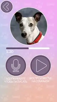 Dog Translator Screen Shot 5