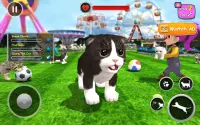 Kitten Simulator - Virtual Cat Game Screen Shot 0