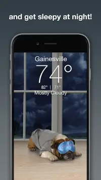 Weather Puppy - App & Widget Screen Shot 2