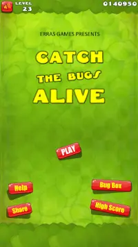 Catch the Bugs Alive Screen Shot 0