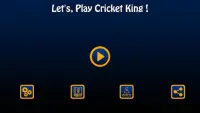 Cricket King Screen Shot 0
