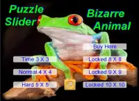 Puzzle Bizarre Animal Screen Shot 0