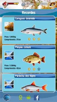 Pesca de Bolso Screen Shot 1