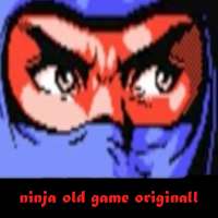 Ninja Super Gaiden