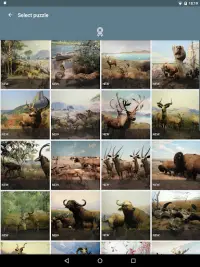 Puzzle: Animaux Screen Shot 20