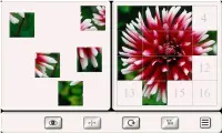 Zgadnij Kwiat: Puzzle Screen Shot 4
