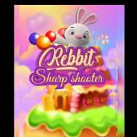 Rebbit sharp shooter